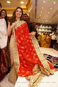 Tamannaah Bhatia in Saree