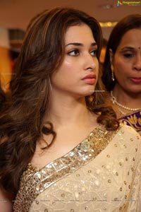 Tamannaah Bhatia in Saree