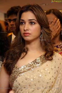 Tamannaah Bhatia in Saree