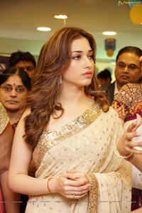 Tamannaah Bhatia in Saree