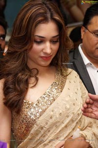 Tamannaah Bhatia in Saree