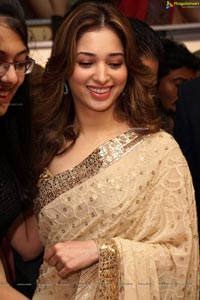 Tamannaah Bhatia in Saree