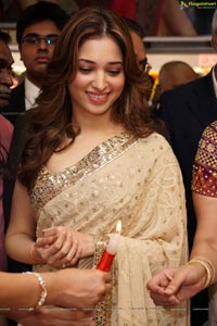 Tamannaah Bhatia in Saree