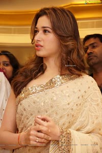 Tamannaah Bhatia in Saree