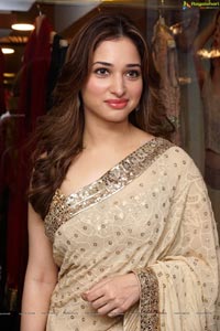 Tamannaah Bhatia in Saree