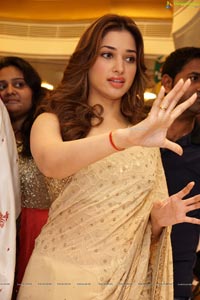 Tamannaah Bhatia in Saree