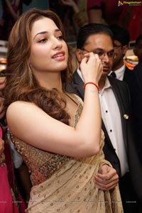 Tamannaah Bhatia in Saree