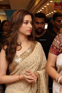 Tamannaah Bhatia in Saree