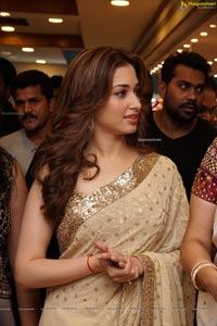 Tamannaah Bhatia in Saree