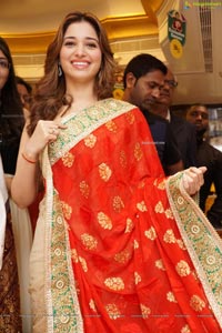 Tamannaah Bhatia in Saree