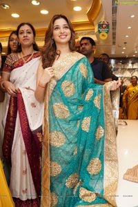 Tamannaah Bhatia in Saree