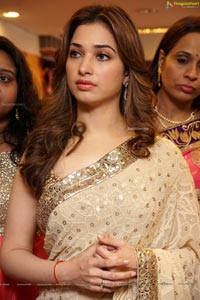 Tamannaah Bhatia in Saree