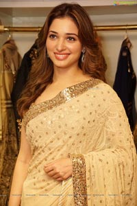 Tamannaah Bhatia in Saree