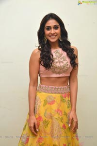 Regina Cassandra in Saree