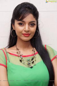 Sanam Shetty Photos