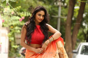 Heroine Pooja Sree