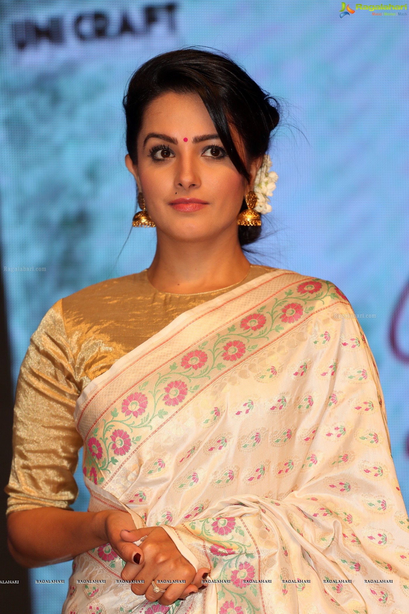 Anita Hassanandani (Posters)