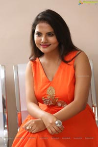 Priyanka Orange Dress