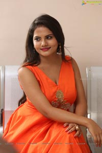 Priyanka Orange Dress