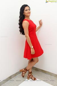 Disha Pandey Red Dress