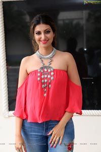 Hamsa Nandini