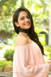 Rakul Preekt Singh @ JJN Sucessmeet