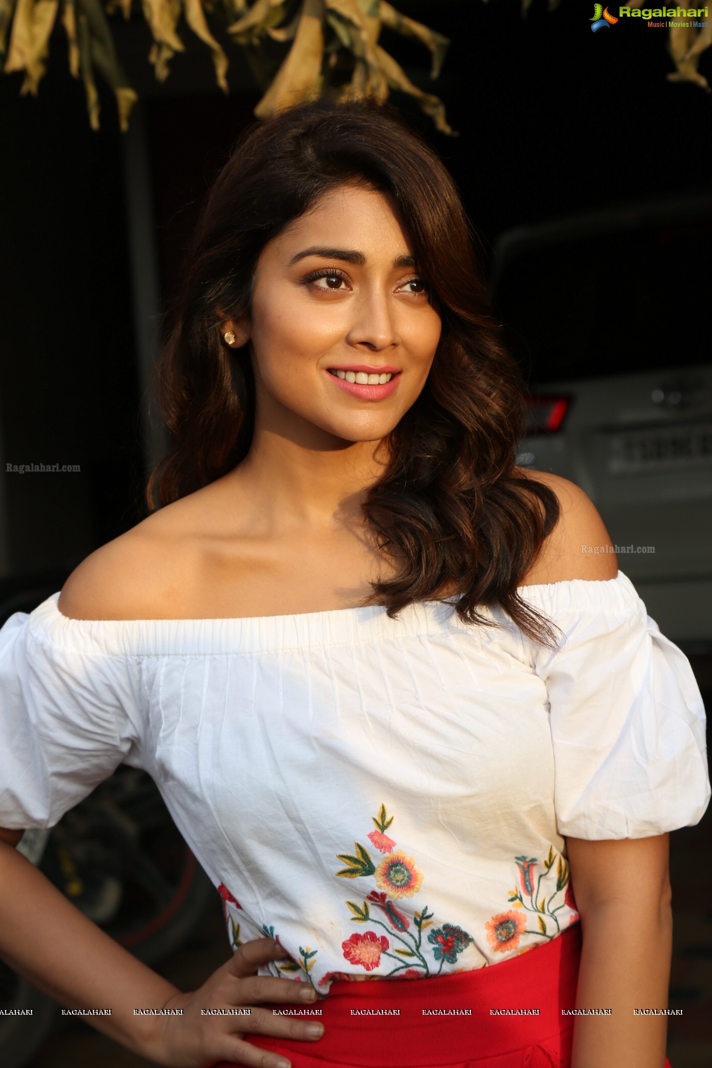 Shriya Saran (Posters)