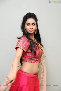 Pooja Sree