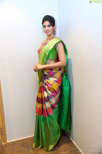 Harshitha in Saree