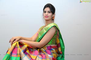 Harshitha in Saree