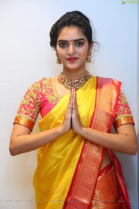 Hena in Saree