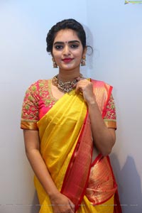 Hena in Saree