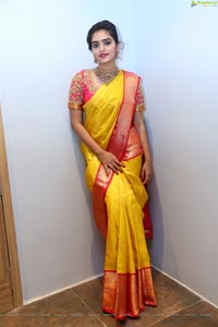 Hena in Saree