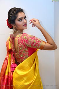 Hena in Saree