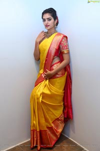 Hena in Saree