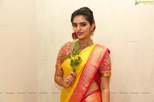 Hena in Saree