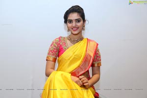 Hena in Saree