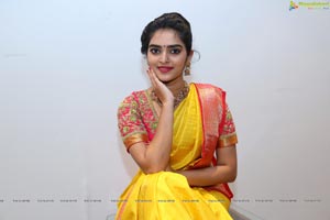 Hena in Saree