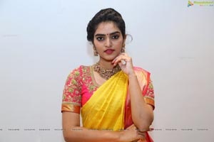 Hena in Saree