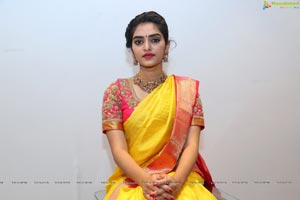 Hena in Saree