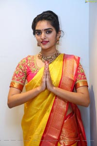 Hena in Saree