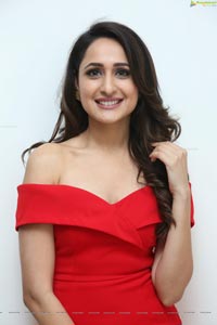 Pragya Jaiswal at SIIMA 7th Edition Curtain Raiser