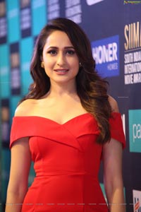 Pragya Jaiswal at SIIMA 7th Edition Curtain Raiser