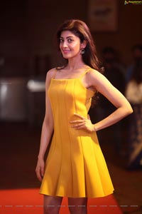 Pranitha Subhash at SIIMA 7th Edition Curtain Raiser