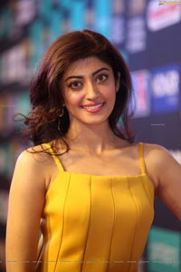 Pranitha Subhash at SIIMA 7th Edition Curtain Raiser