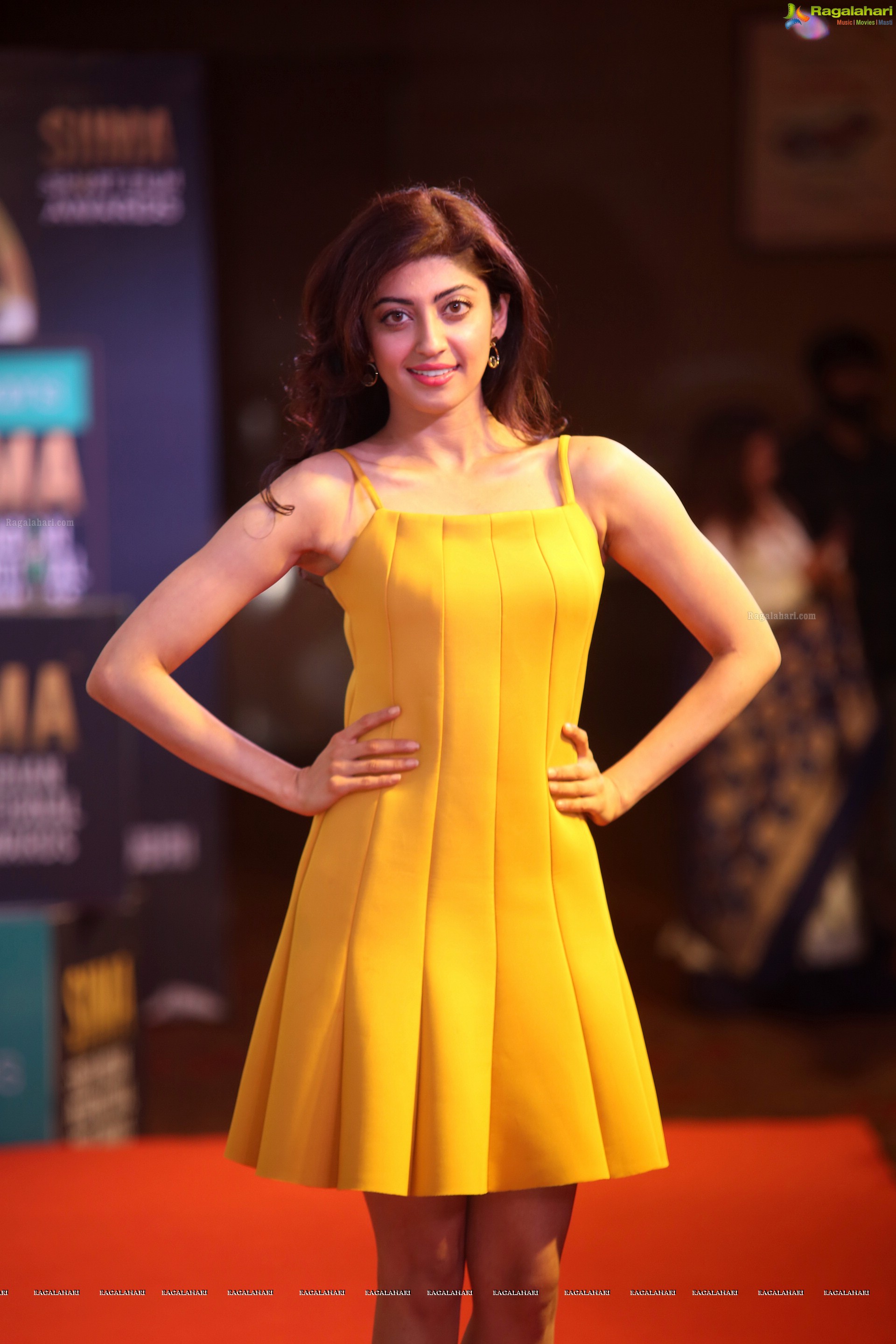 Pranitha Subhash at SIIMA 7th Edition Curtain Raiser and Short Film Awards (High Definition Photos)