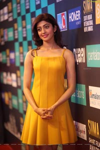 Pranitha Subhash at SIIMA 7th Edition Curtain Raiser