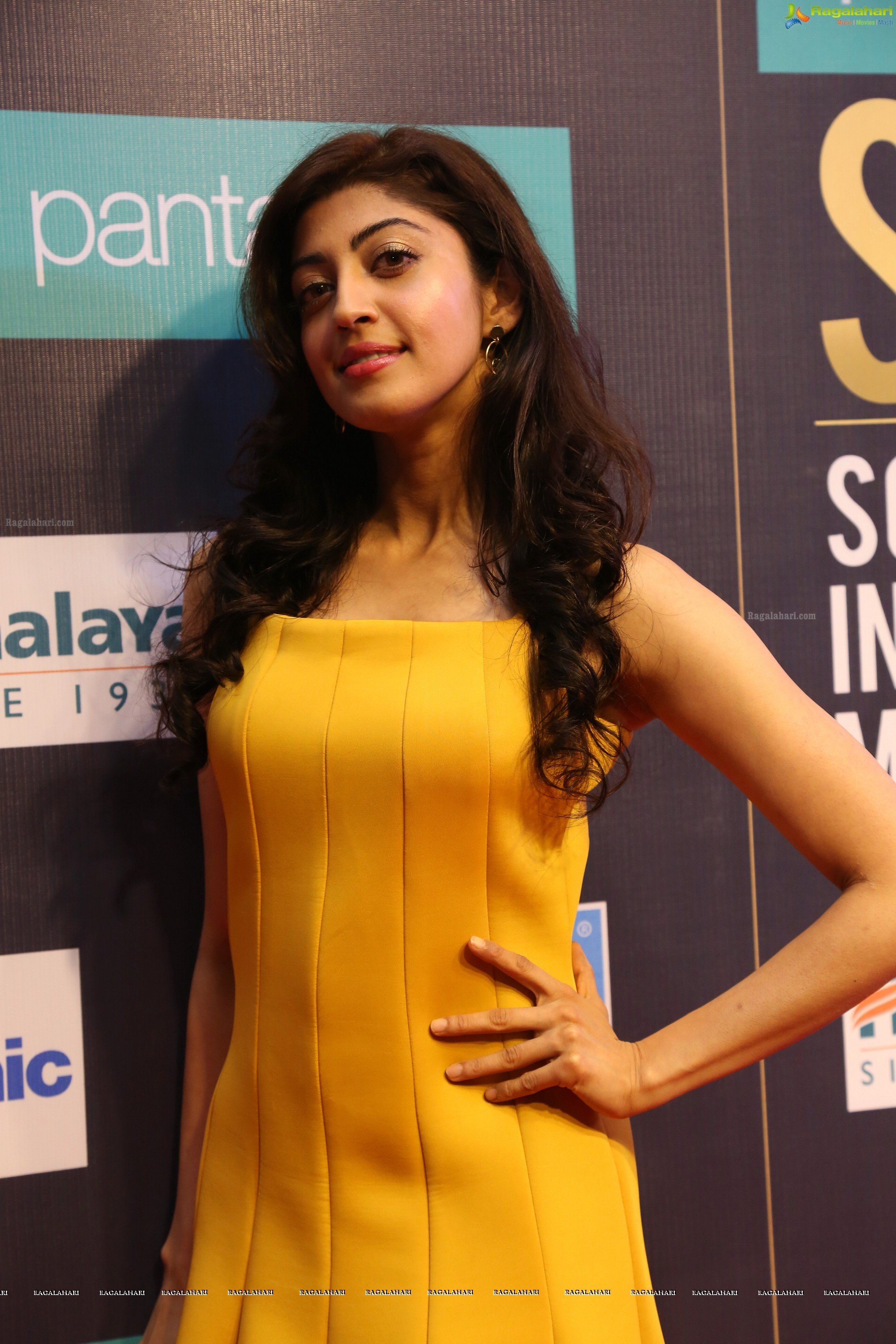 Pranitha Subhash at SIIMA 7th Edition Curtain Raiser and Short Film Awards (High Definition Photos)