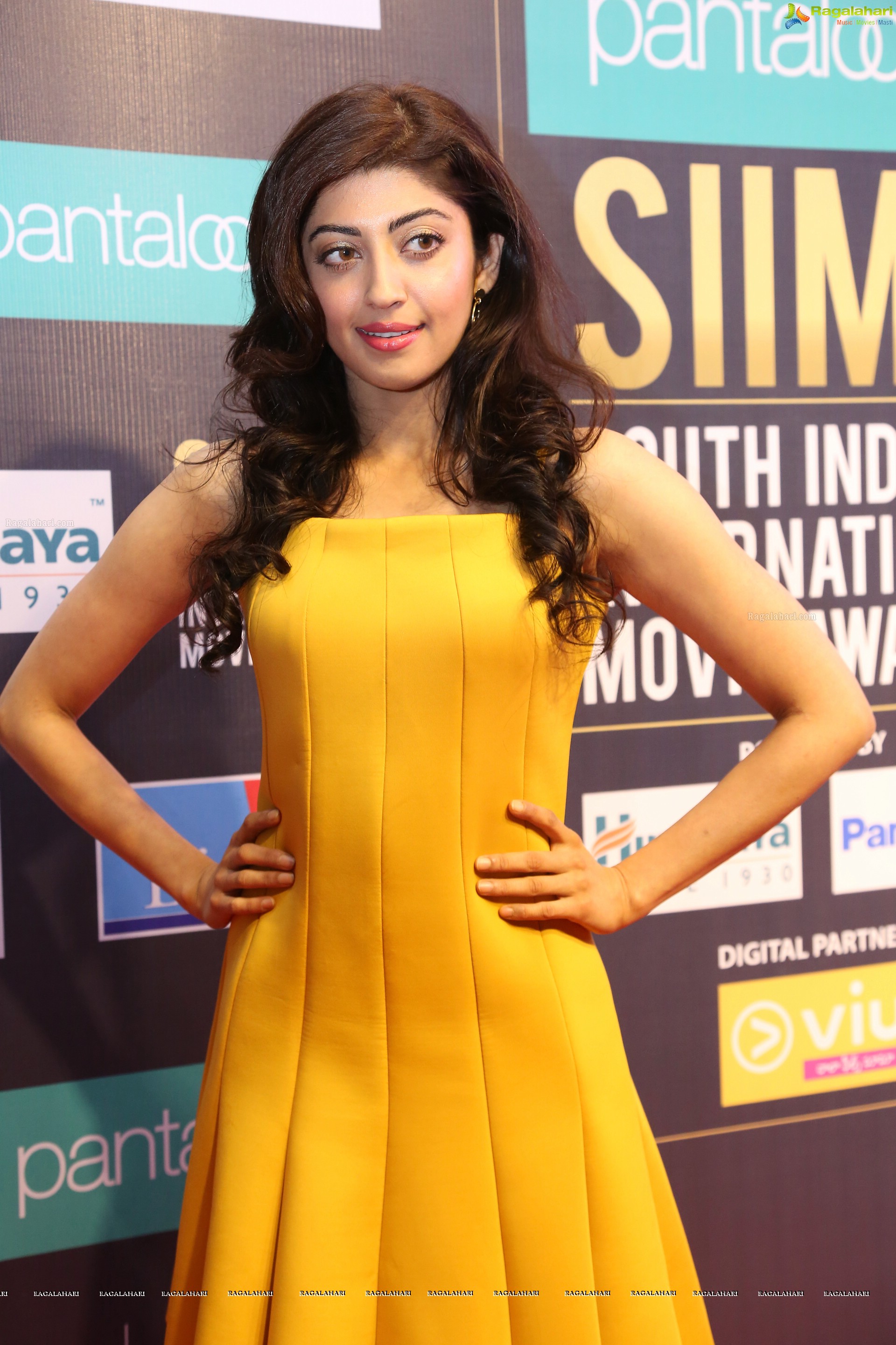 Pranitha Subhash at SIIMA 7th Edition Curtain Raiser and Short Film Awards (High Definition Photos)