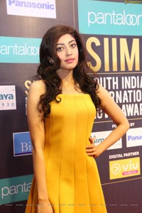 Pranitha Subhash at SIIMA 7th Edition Curtain Raiser